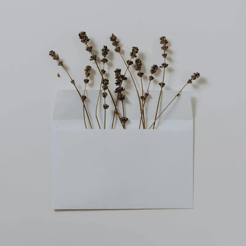 Les clés pour calculer le budget de votre mariage